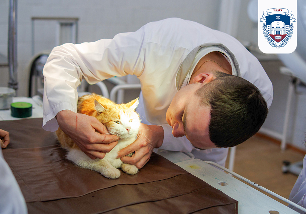 Veterinary Department MarSU Photo 11