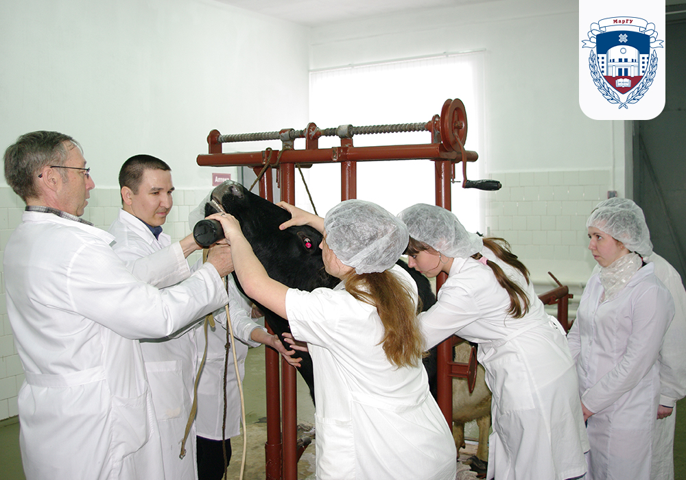 Veterinary Diagnostics MarSU